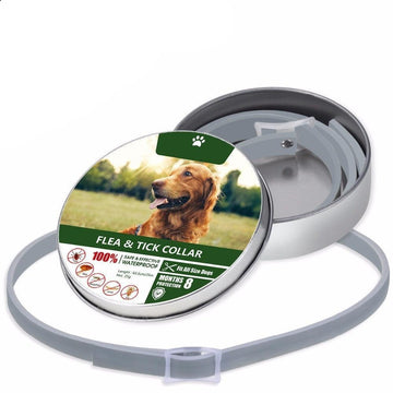 Anti-Flea Pet Collar – 8-Month Flea & Tick Protection for Dogs, Waterproof & Vet-Recommended